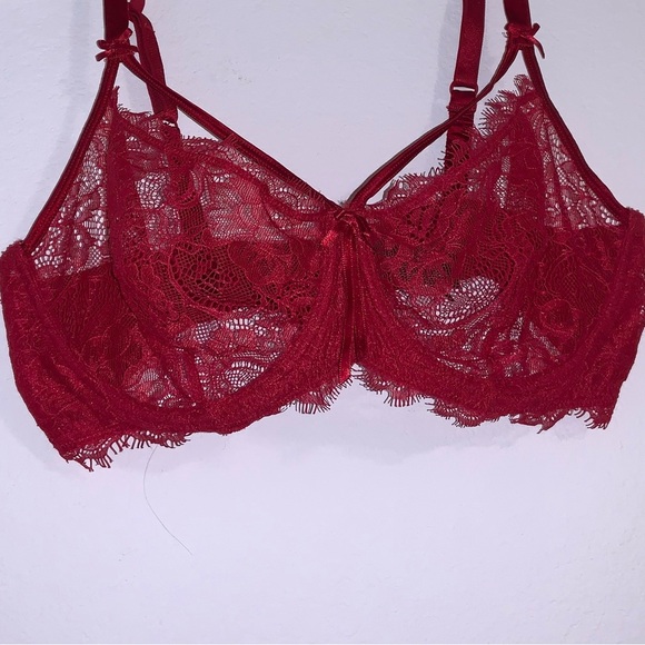 Heidi Klum Intimates Red Lace Valerie Bra 36DD - Picture 4 of 11
